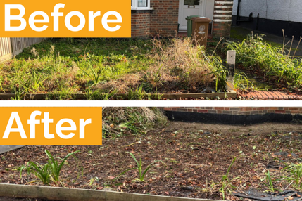 Community Volunteer Squad Feb 26 Thumbnail 2