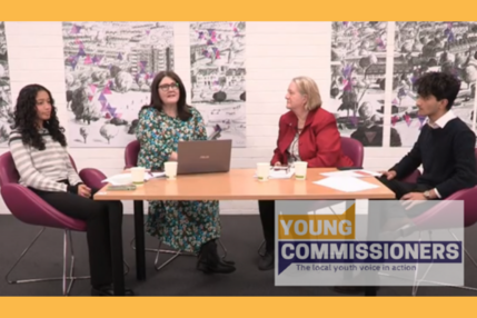 Council Tax 2024 young commissioners