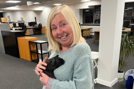 Thumbnail Kim Afghan Project x MAPS x Pets on the Green