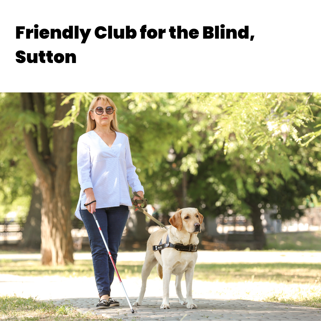 V021 - Driver - The Friendly Club for the Blind