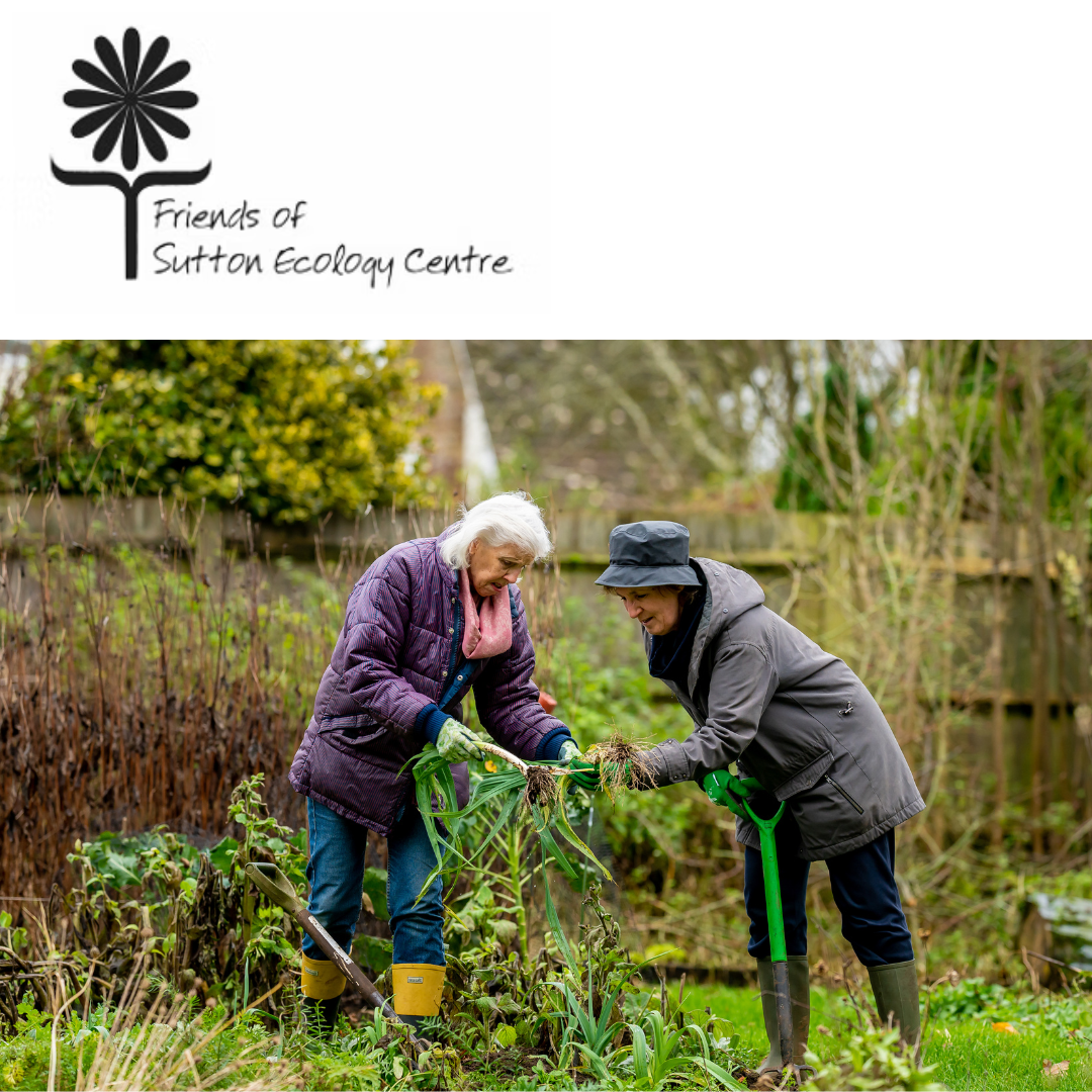 V032 - Conservation Volunteers - Sutton Ecology Centre