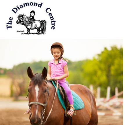 V034 - Riding Lesson Support - The Diamond Centre for Disabled Riders