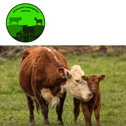 V087 - Grazing Volunteer - Downlands Countryside Project