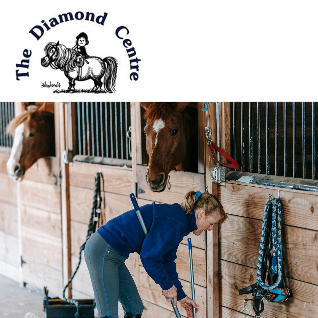 V097 - General yard work - The Diamond Centre for Disabled Riders
