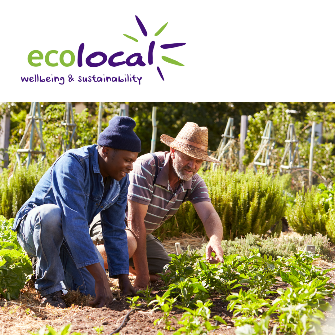 V127 - Befriender/Peer supporter at Community Allotment - EcoLocal