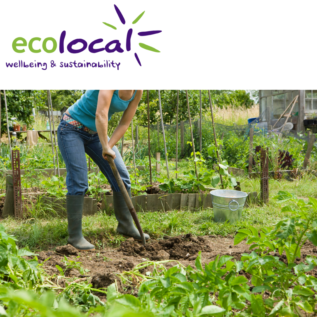V129 - Food Growing Volunteer - EcoLocal