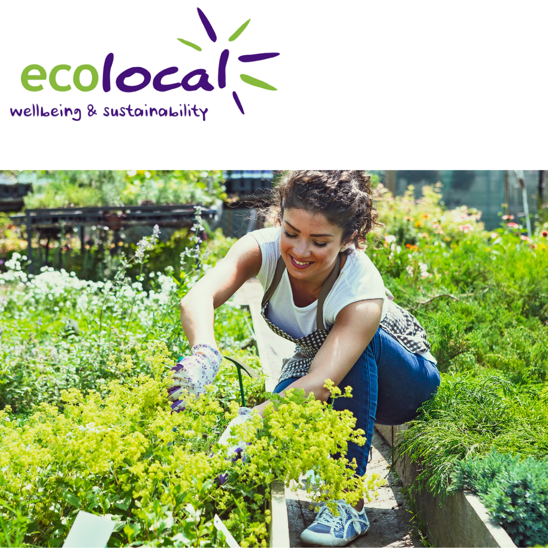 V130 - Victorian Walled Garden renovation - EcoLocal