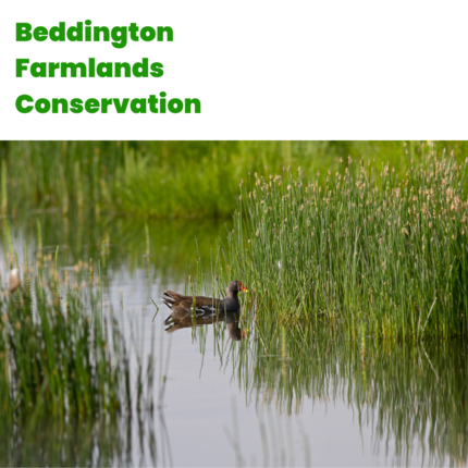 V135 - Practical Conservation - Beddington Farmlands Conservation