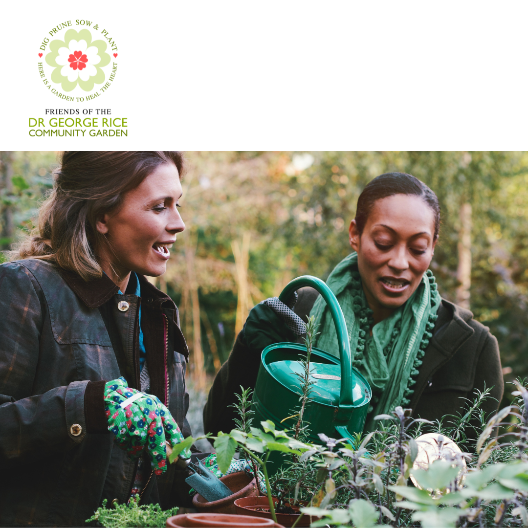 Community Garden Volunteer - Friends of the Dr George Rice Community ...