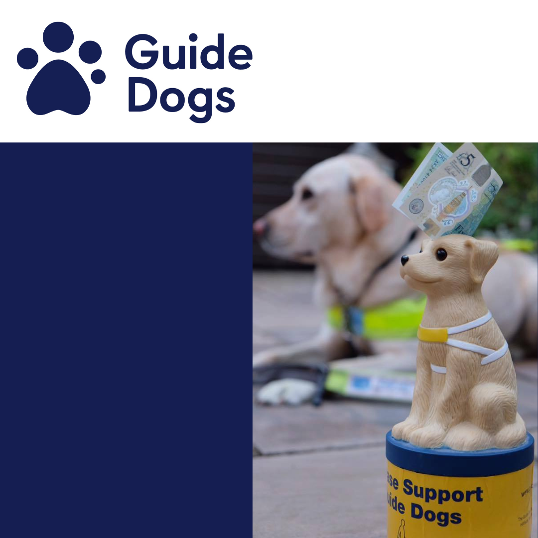 V156 - Collection Box Coordinator - Guide Dogs For The Blind Association