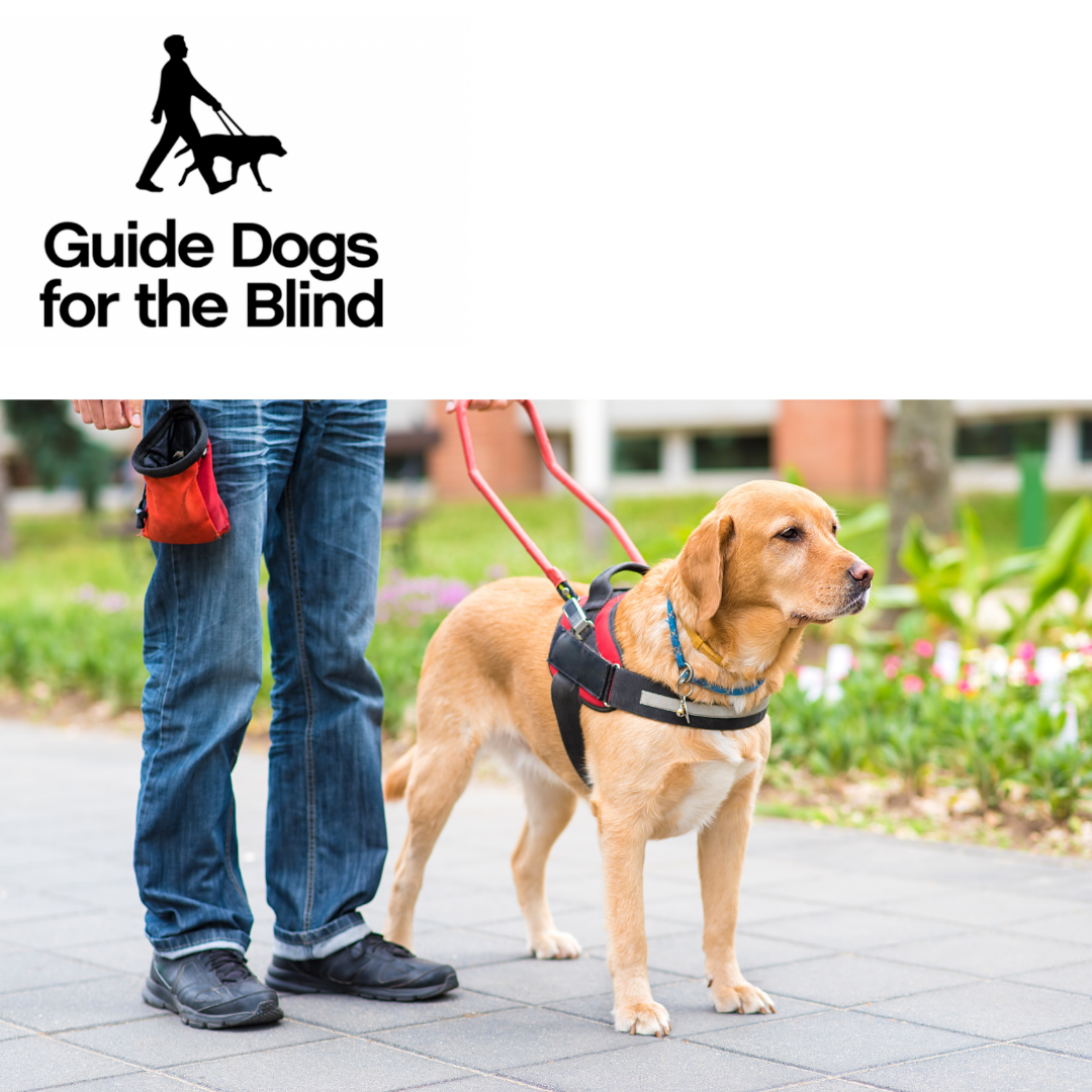 V156 - Collection Box Coordinator - Guide Dogs For The Blind Association