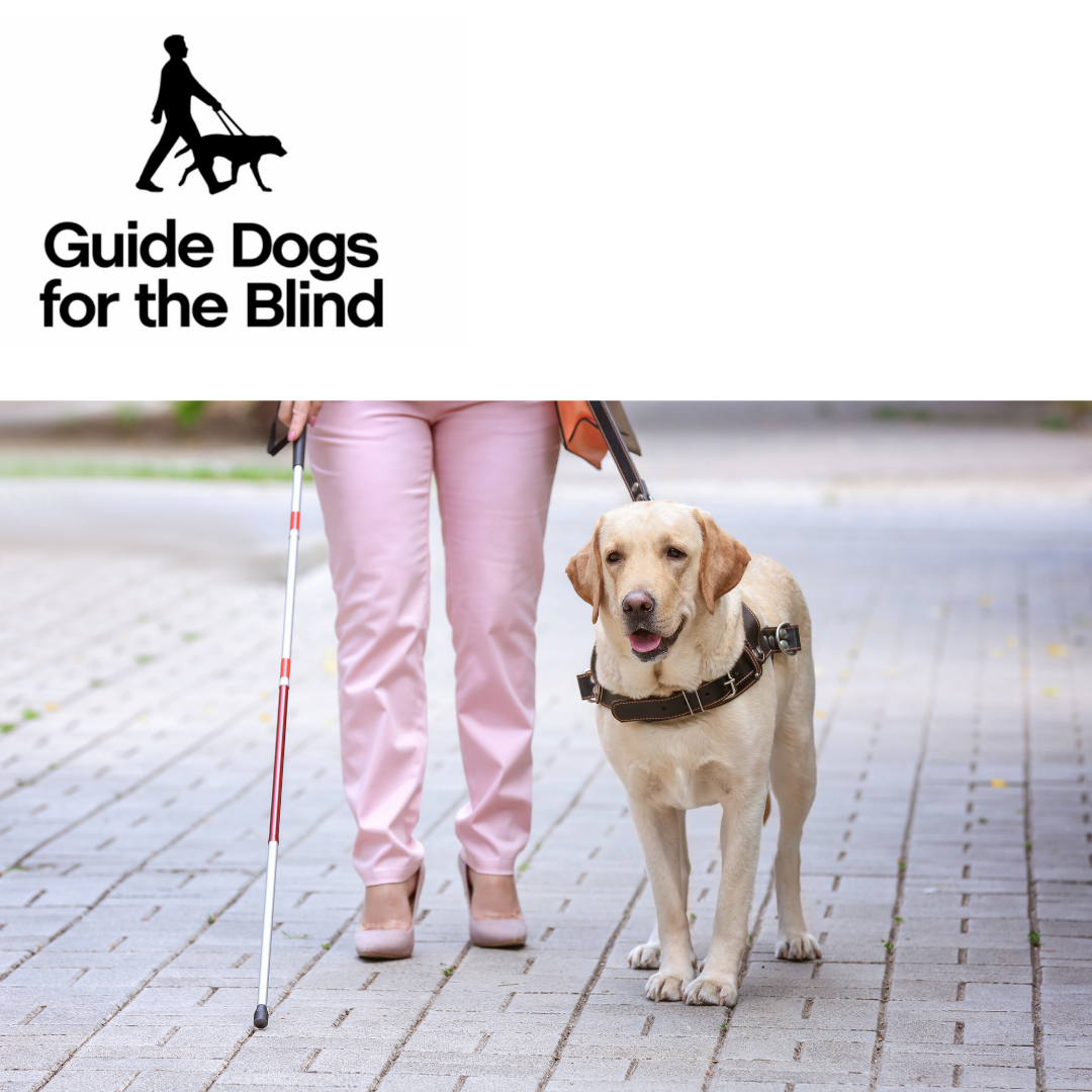 V160 - Merchandise Coordinator - Guide Dogs For The Blind Association