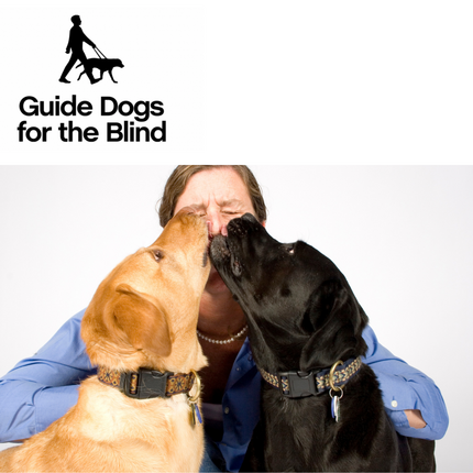 V162 - Puppy Raiser - Guide Dogs For The Blind Association