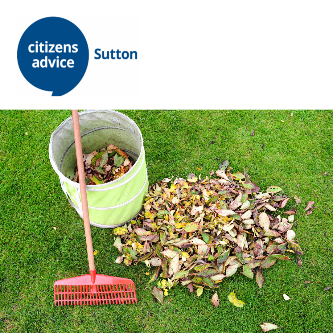V241 - Gardender - Citizens Advice Sutton