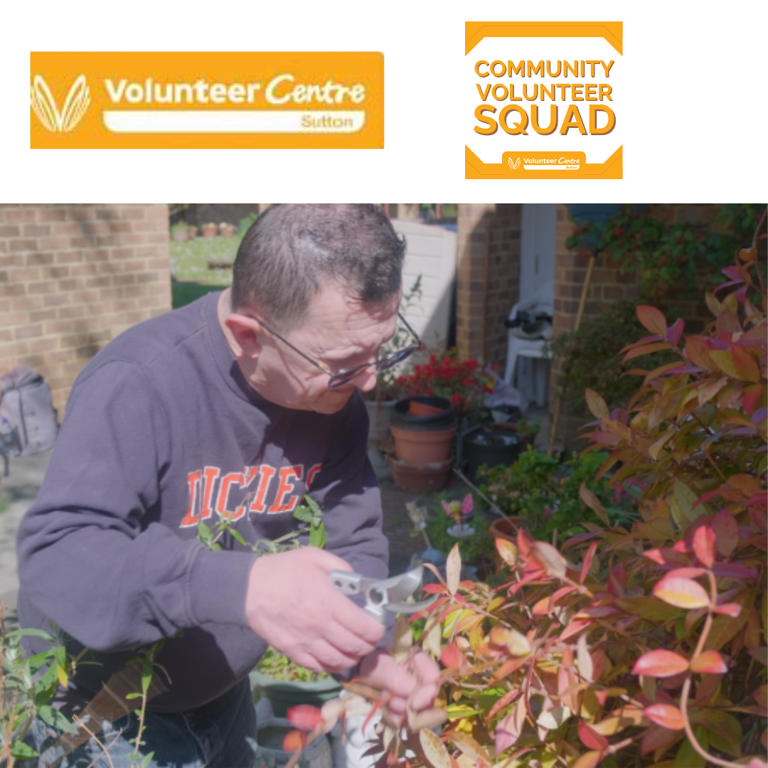 V245 - Community Volunteer Squad - Volunteer Centre Sutton