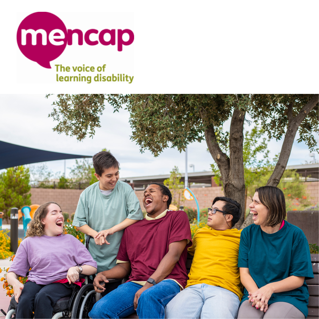 V267 - Activity Support Volunteer - Mencap