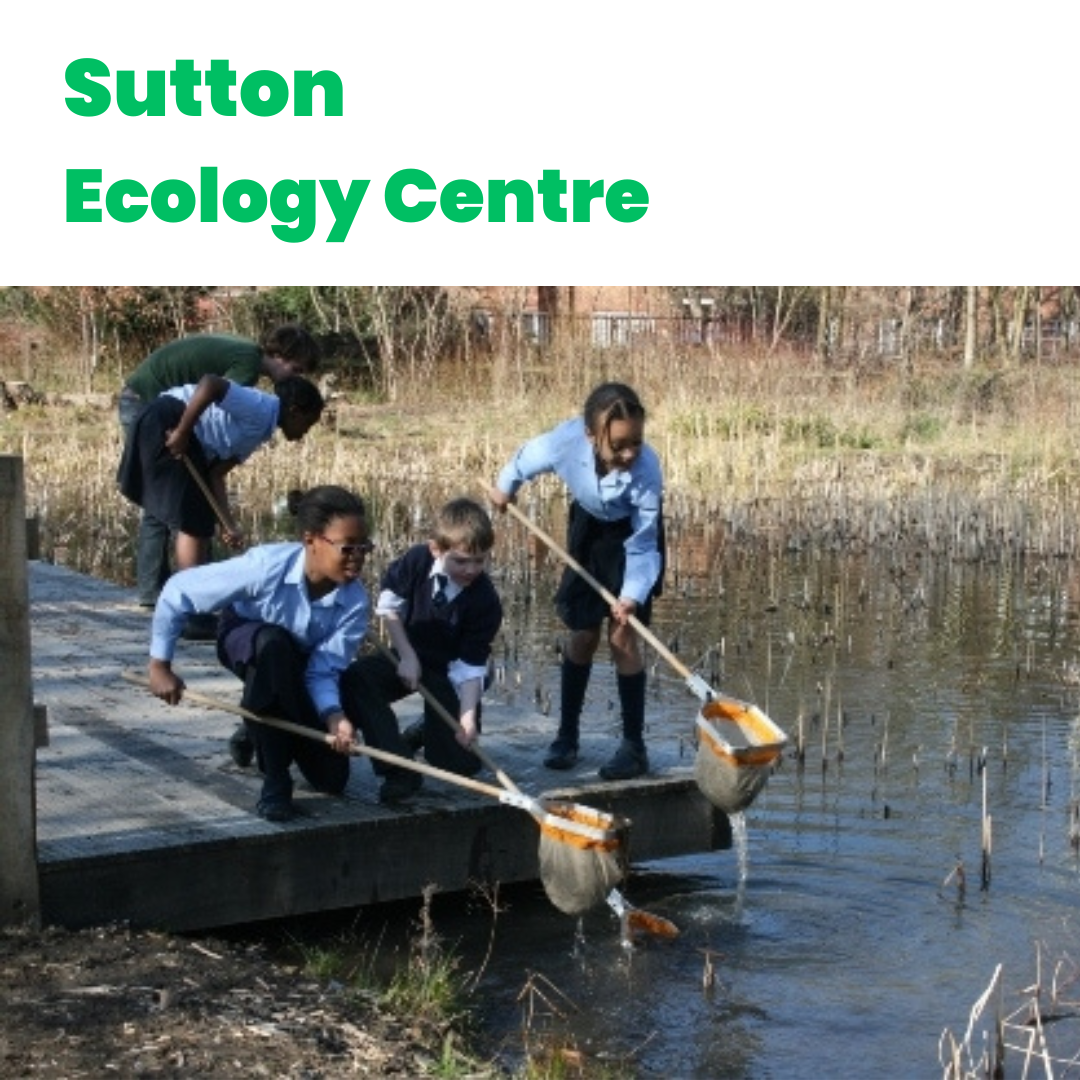 V316 - Volunteer School Booking Coordinator - Sutton Ecology Centre