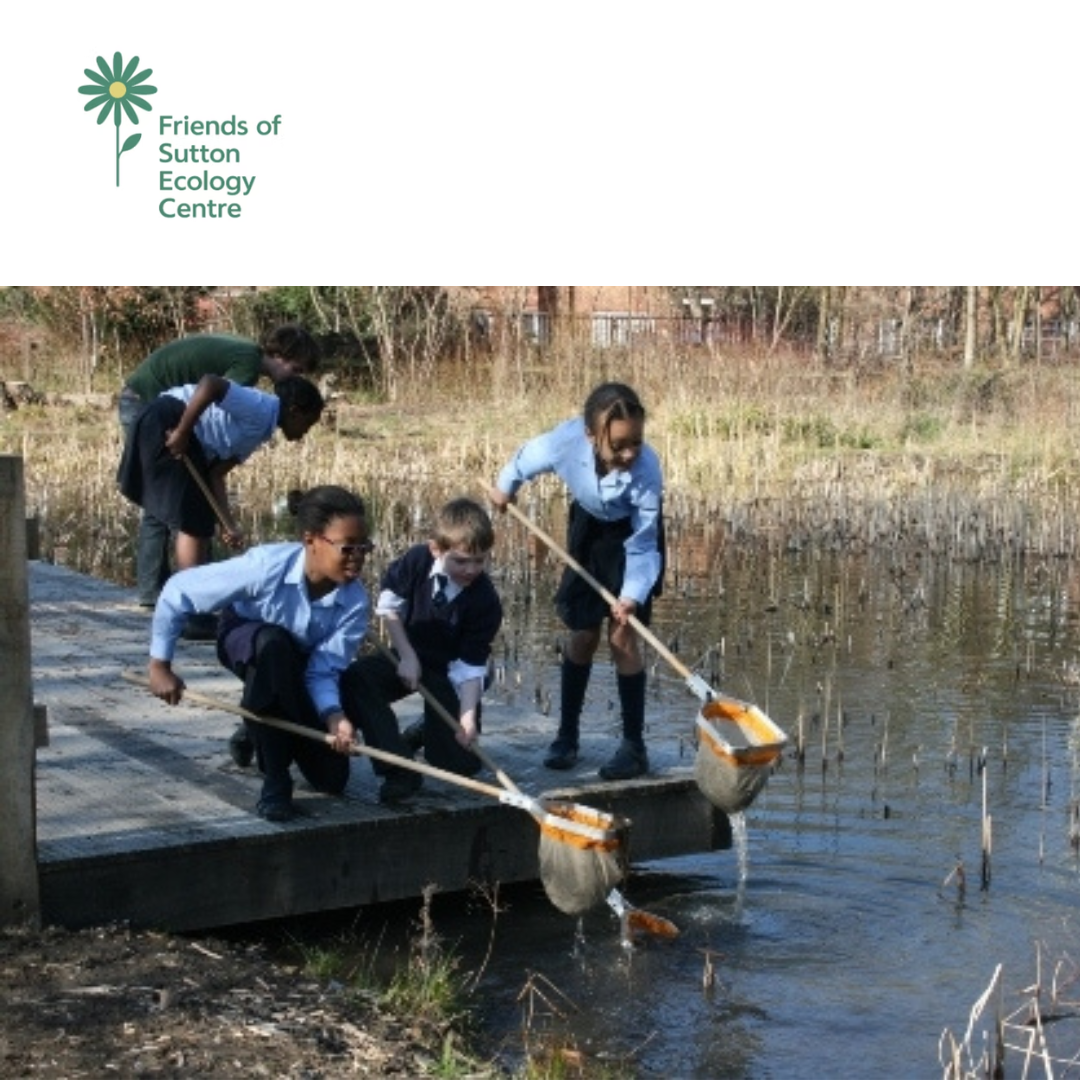 V339 - Friends Volunteer - Friends of Sutton Ecology Centre