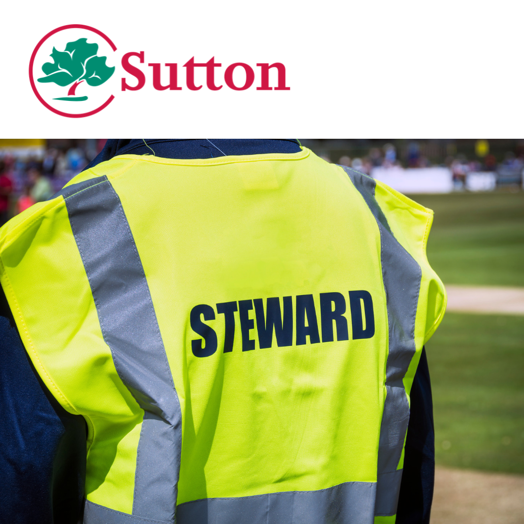 V360 - Volunteers needed for Local Event for Young People with SEND - Sutton Council