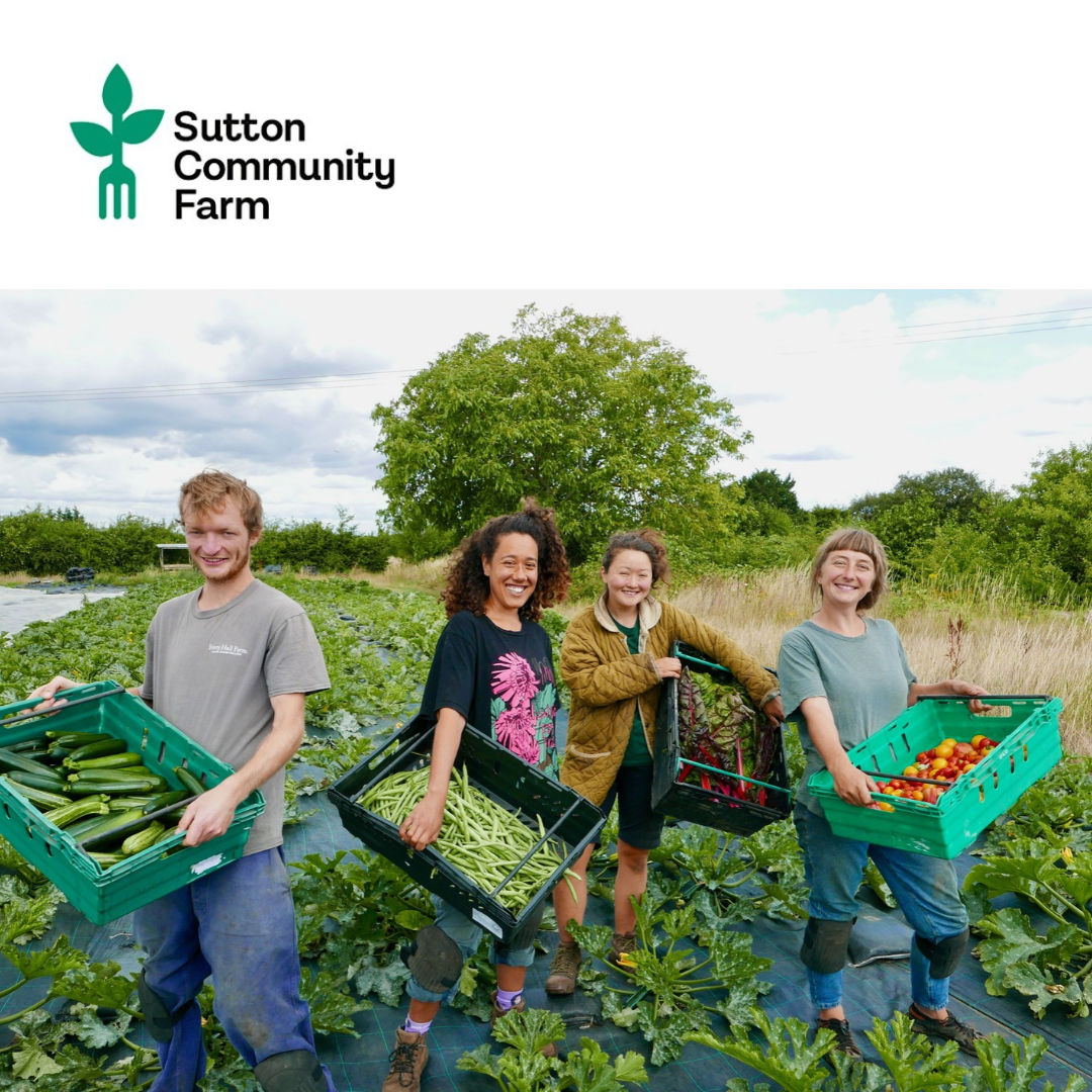 V371 - Fundraising and Impact Expert on Management Committee - Sutton Community Farm