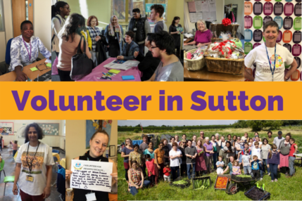 Volunteer in Sutton 6x4