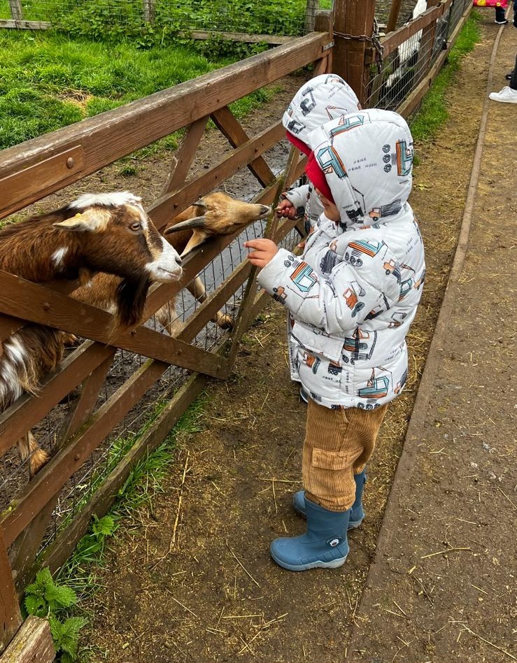 Afghan Deen City Farm twins feeding goats