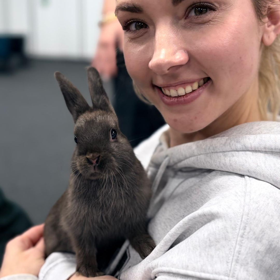 MAPS Staff Member holding a Rabbit