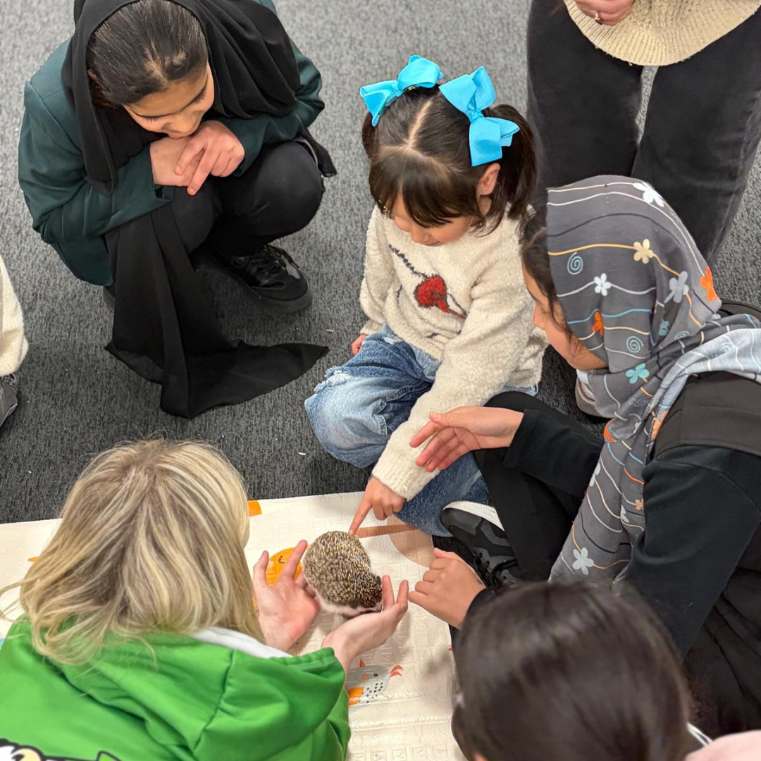 Afghan children handling a Hedgehog