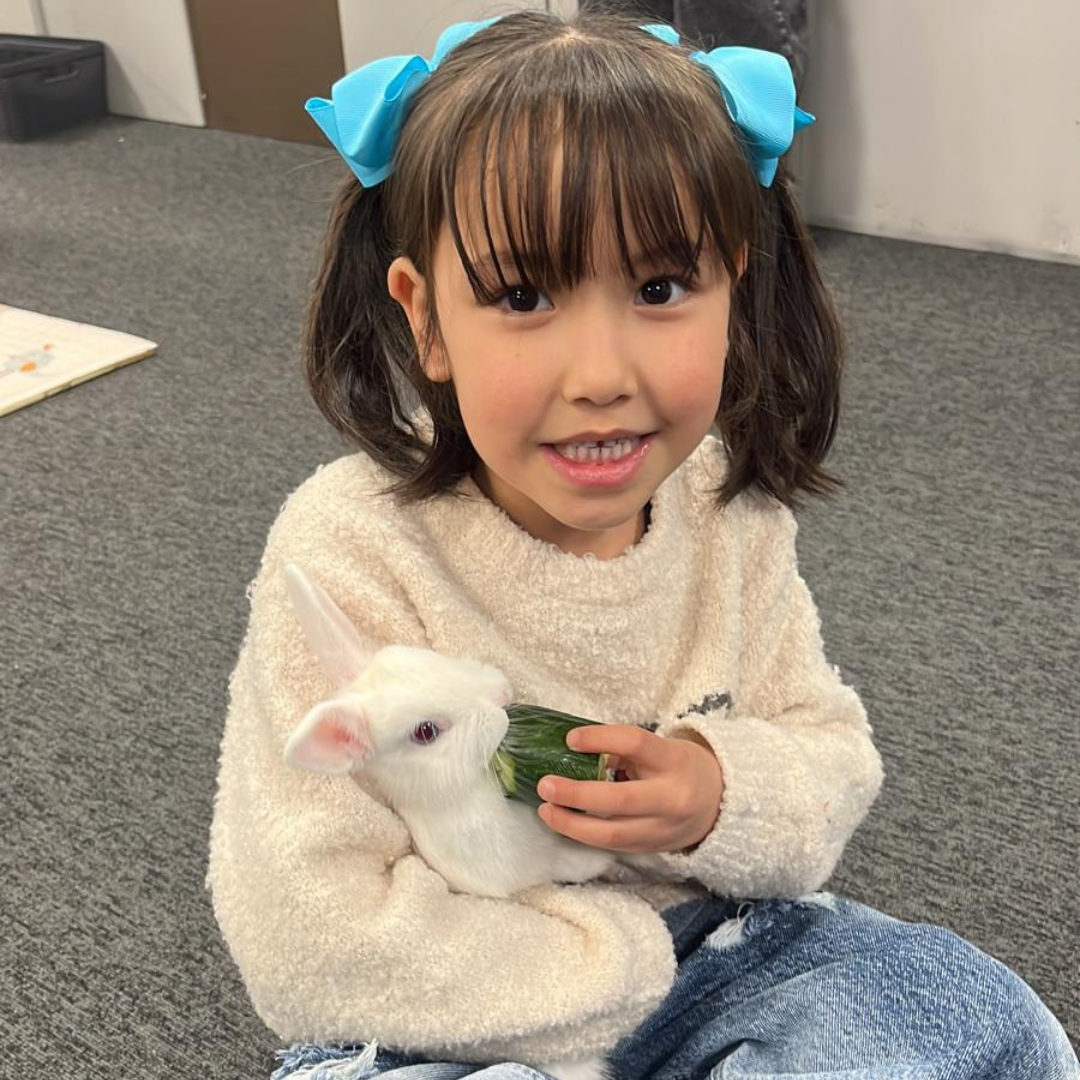 Afghan girl holding a white Rabbit