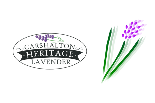 Carshalton Lavender logo on 6x4 white panel