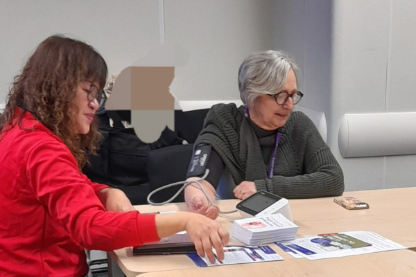 Health Navigators Visit Sutton Council