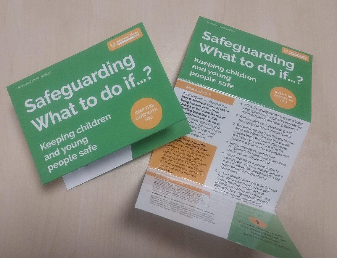 safeguarding volunteer info example