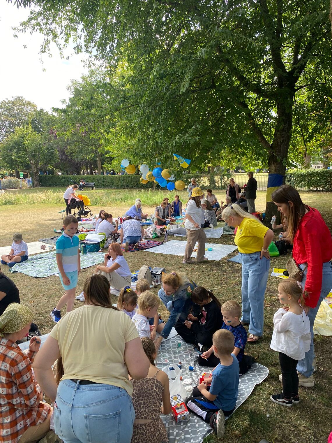 Ukraine Project Community Picnic 2