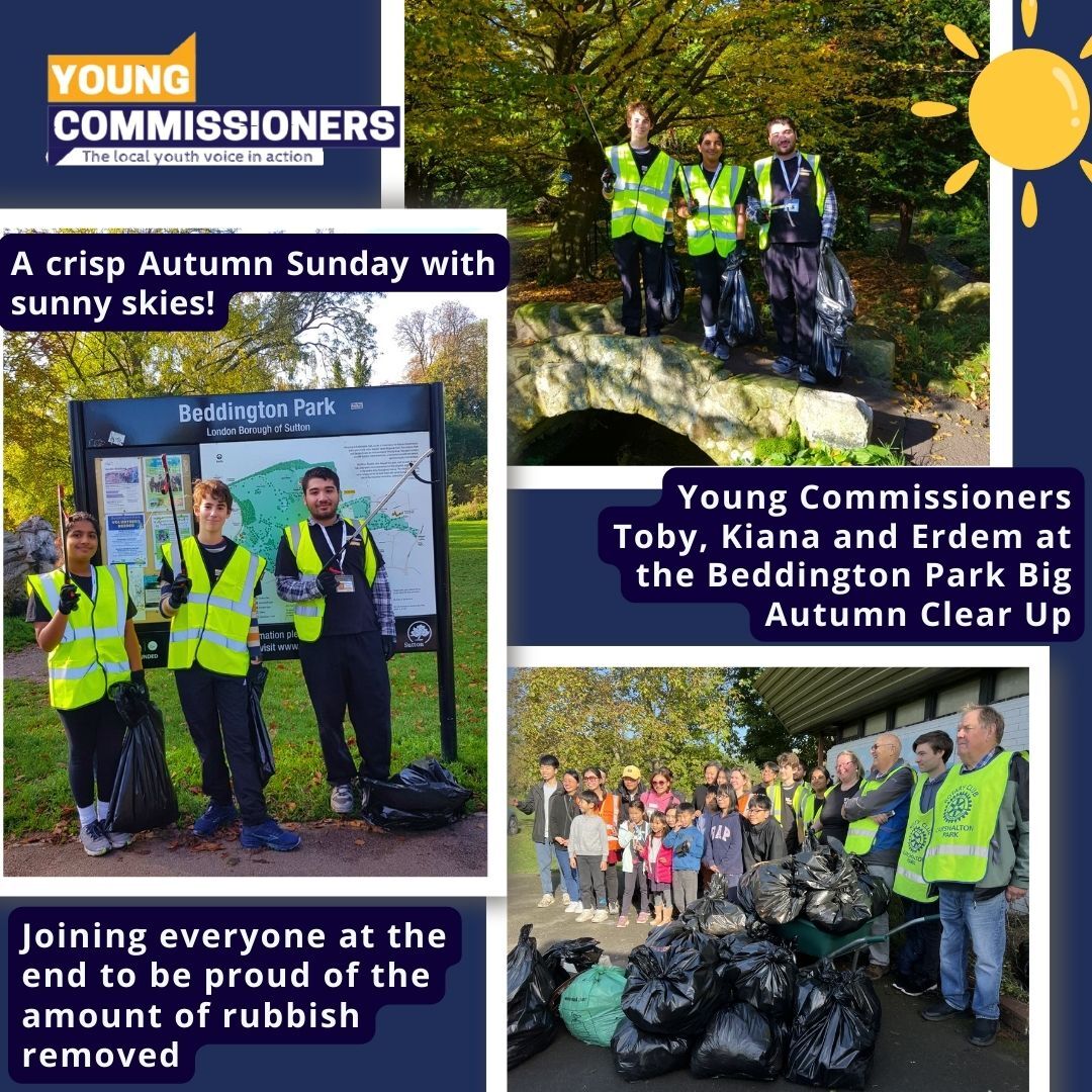 Young Commissioners Litter Pick collage from Beddington Park 2024