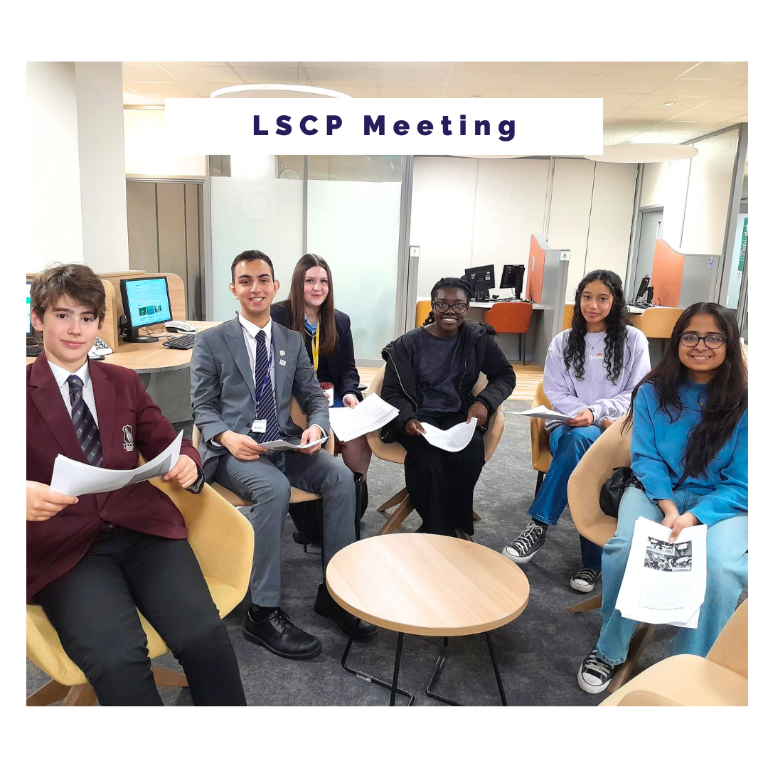 Young Commissioners LSCP meeting June 2024